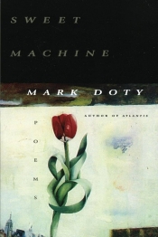Book Cover for Sweet Machines Book Cover for Sweet Machines
