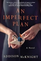 Book Cover for An imperfect plan Book Cover for An imperfect plan