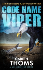 Cover for Code Name Viper: Terror and resilience in Israel
