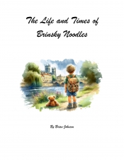 Book Cover for The Life and Times of Brinsky Noodles Book Cover for The Life and Times of Brinsky Noodles