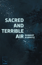 Book Cover for Sacred and Terrible Air Book Cover for Sacred and Terrible Air