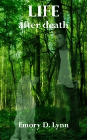 Book Cover for Life After Death Book Cover for Life After Death