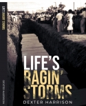 Life's Ragin Storms