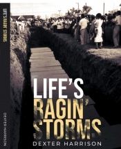 Cover for Life's Ragin Storms