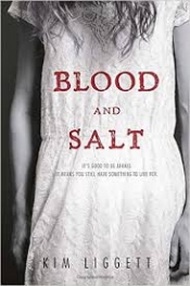 Book Cover for Blood and Salt Book Cover for Blood and Salt