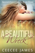 A Beautiful Wreck