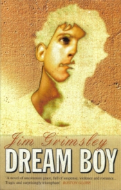Book Cover for Dream Boy