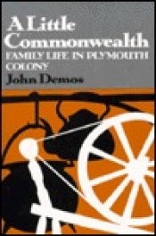 Book Cover for A Little Commonwealth Book Cover for A Little Commonwealth