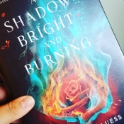 Book Cover for A Shadow Bright and Burning