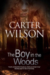 Book Cover for The Boy In The Woods Book Cover for The Boy In The Woods