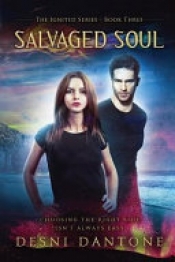 Book Cover for Salvaged Soul Book Cover for Salvaged Soul