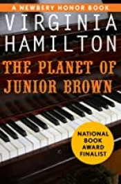 Book Cover for The Planet of Junior Brown Book Cover for The Planet of Junior Brown
