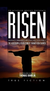Book Cover for Risen: The Accession and Devolution of Yahweh Ben Yahweh - Miami's Urban Chronicles Volume I