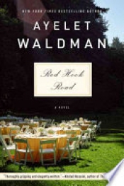 Book Cover for Red Hook Road Book Cover for Red Hook Road
