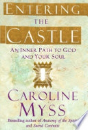 Book Cover for Entering the Castle Book Cover for Entering the Castle