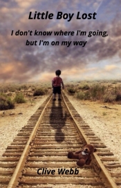 Book Cover for Little Boy Lost