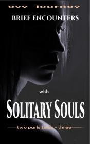 Book Cover for Brief Encounters with Solitary Souls