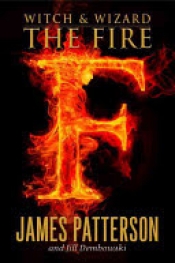 Book Cover for The Fire